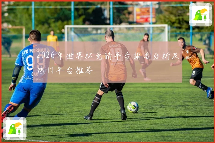 2026年世界杯竞猜平台排名分析及热门平台推荐
