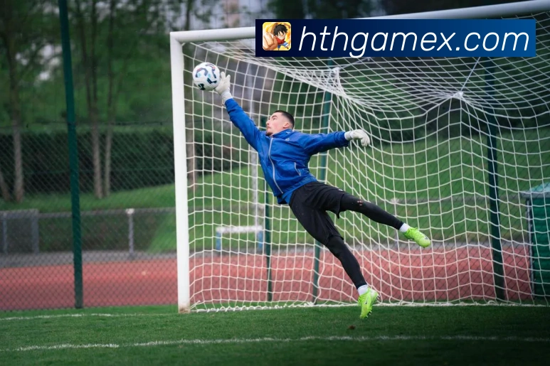 华体会官网全站App